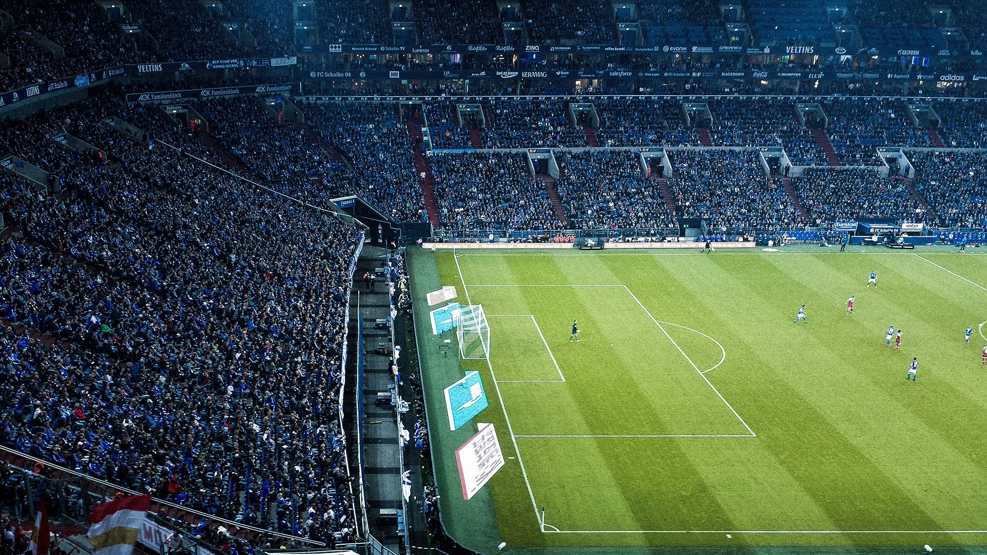 坎特，沙漠中的叹息之墙，阿尔及利亚生死战的唯一答案